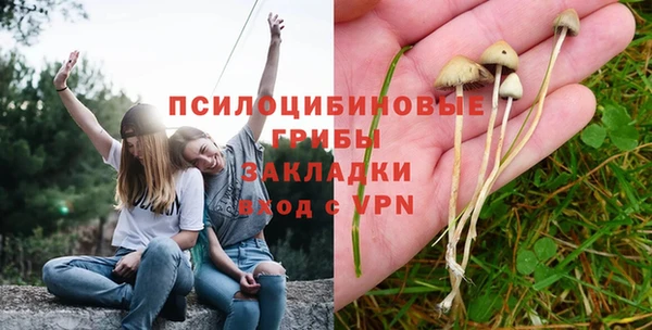 гашик Нязепетровск